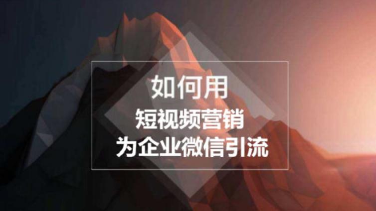 沒技術，沒流量，沒人帶，我該怎么賺錢？