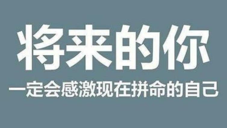 分享八種網賺項目