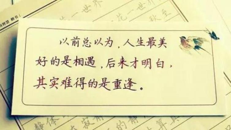 抖音簽名設計，賺錢賊簡單
