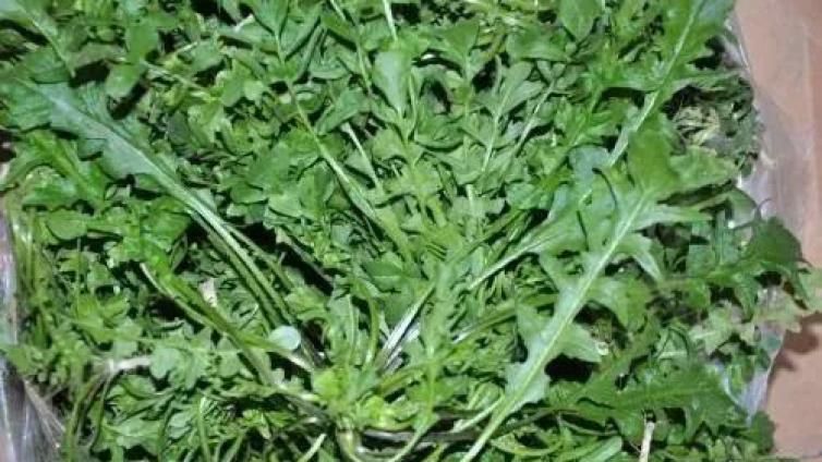 賣野菜年入30萬，他是如何玩轉網絡營銷項目的？
