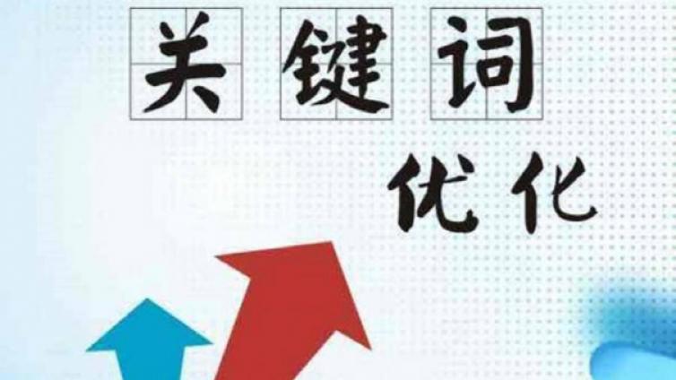 網(wǎng)絡(luò)營銷之Seo優(yōu)化的基本知識！