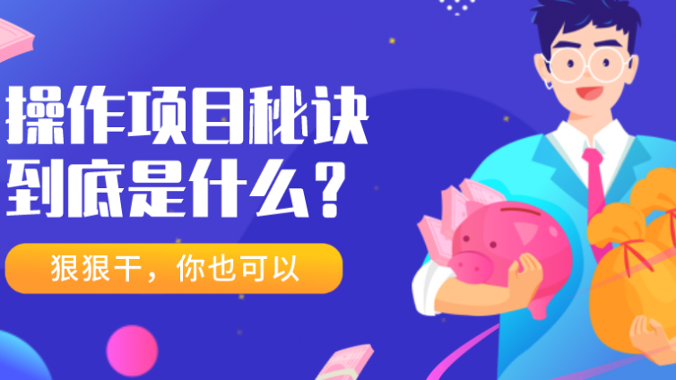 一個推薦新手操作的網賺項目！