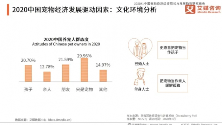 網絡項目有哪些？如何打造寵物行業細分領域的暴利項目！