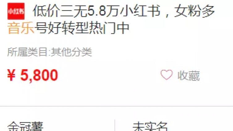 小紅書音樂號：0成本批量快速起號變現實操玩法！
