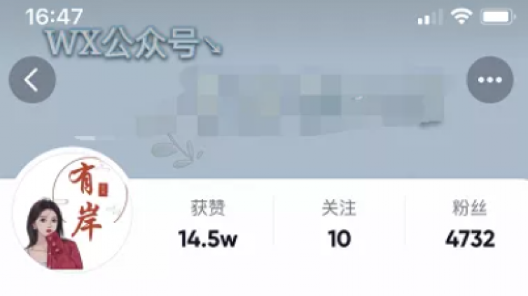 【網(wǎng)絡(luò)營(yíng)銷項(xiàng)目】抖音小眾藍(lán)海虛擬項(xiàng)目，可批量矩陣式操作！