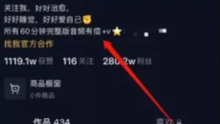每天2小時，批量操作這個抖音藍海搬磚項目，一個視頻賺25w+！