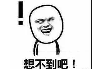 雙11獲利