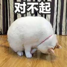 對不起