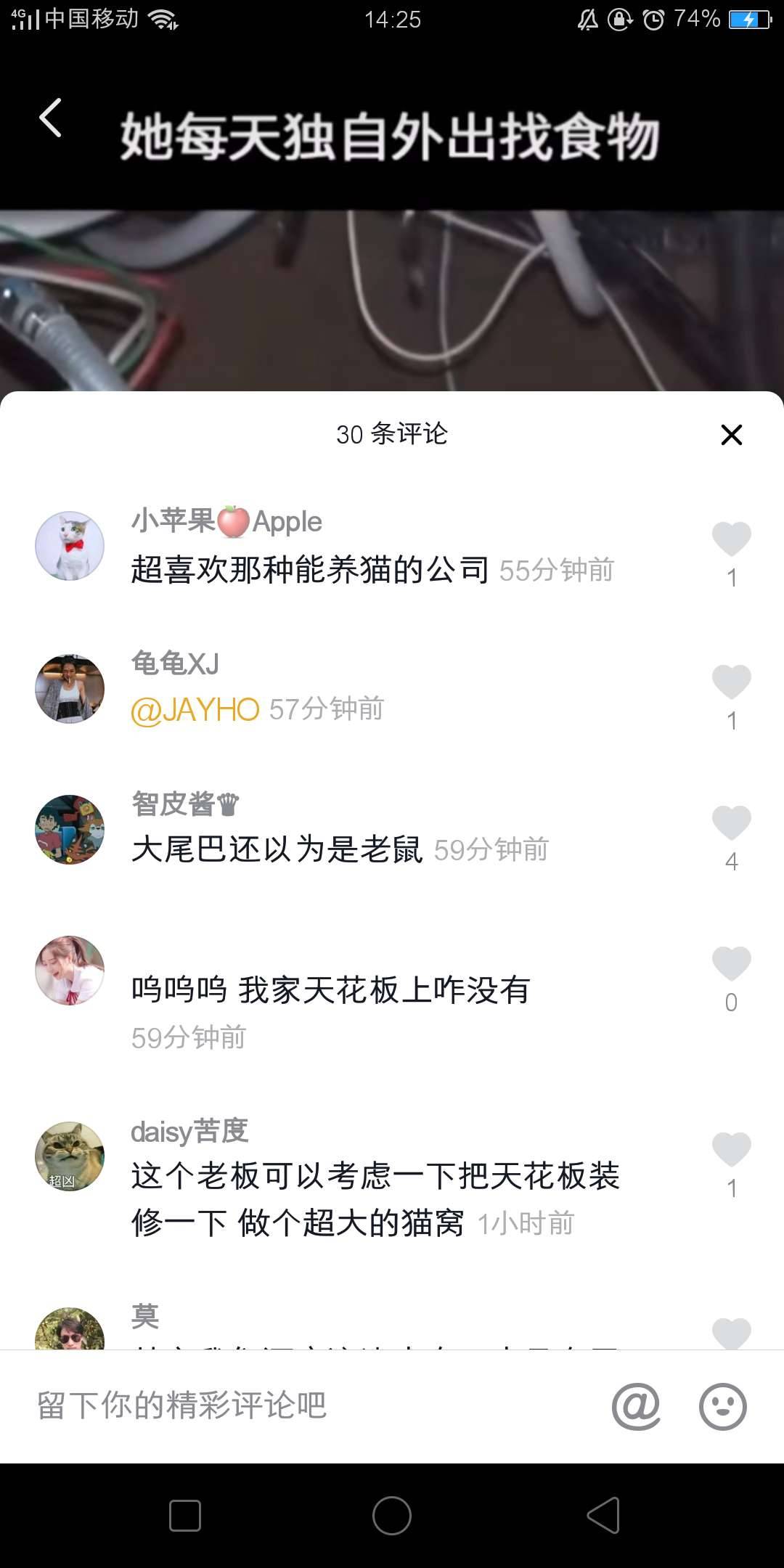萌寵類的賬號(hào)