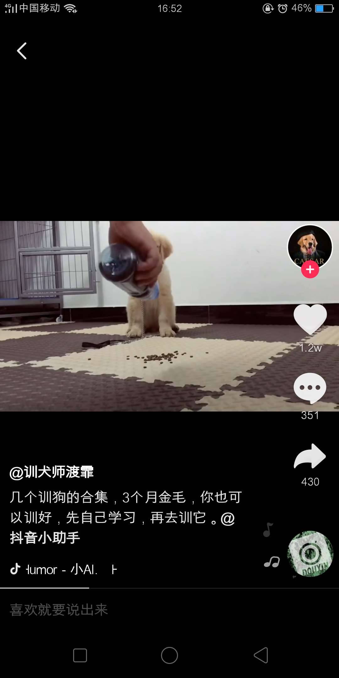 訓狗教程