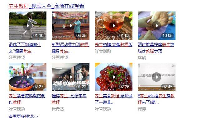 ??虛擬創業項目