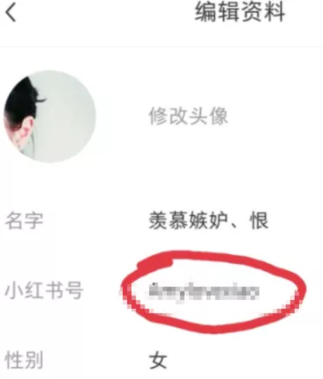 創業項目