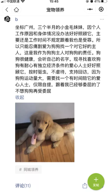 網絡項目