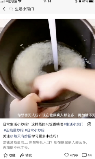 網賺項目