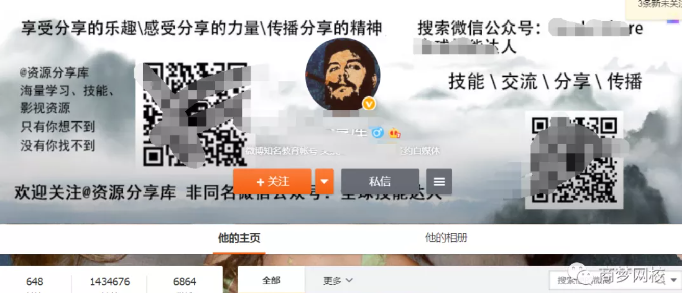 網賺項目