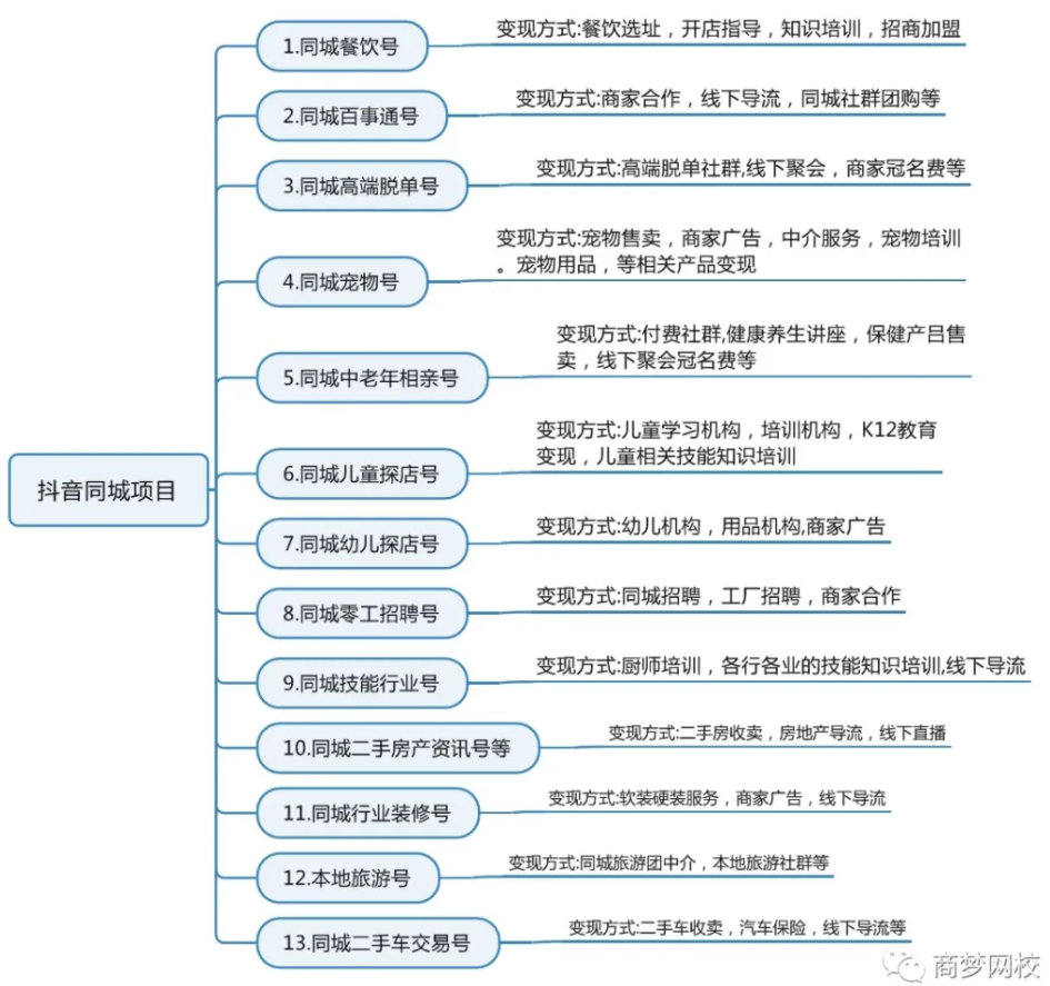 抖音項目