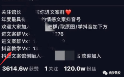 抖音創(chuàng)業(yè)項目