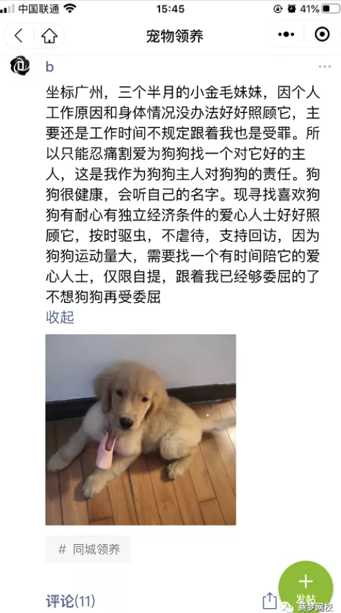 網絡營銷項目