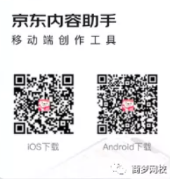 網賺項目
