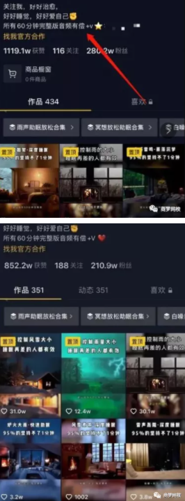抖音助眠項目