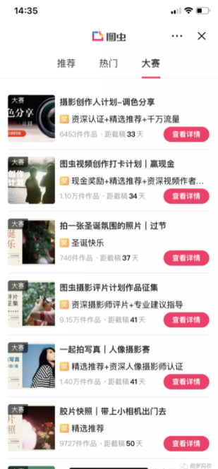 網賺項目