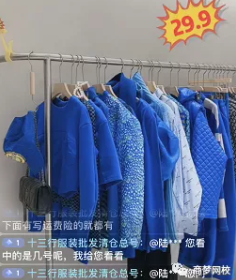 暴力變現項目