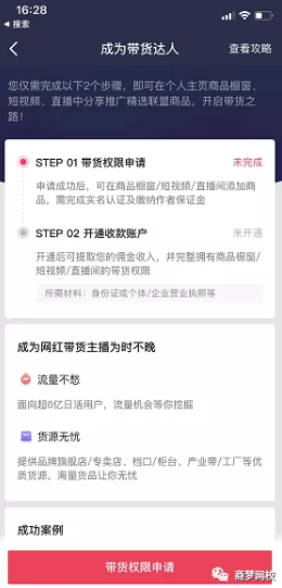 暴力變現項目