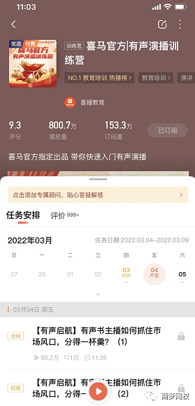 音頻項目