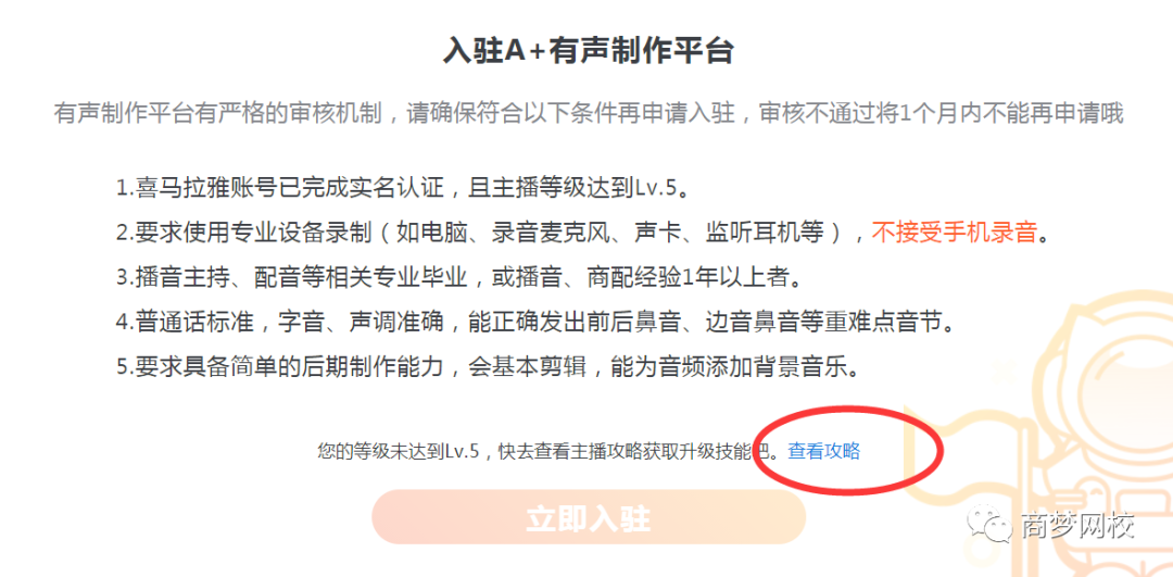 音頻項目