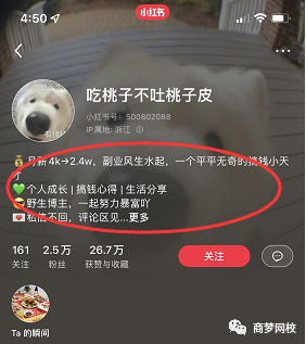 小紅書副業項目