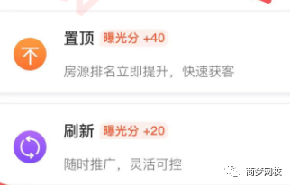 網絡營銷項目
