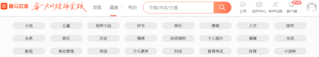 音頻項目