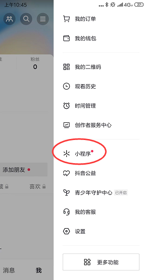 抖音項目
