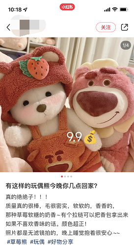 小紅書吸粉項目